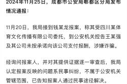 意甲球队遭遇球迷暴力行为，俱乐部发声明谴责的简单介绍